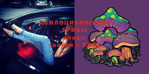 прущий лед Вязники