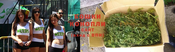 ECSTASY Осинники