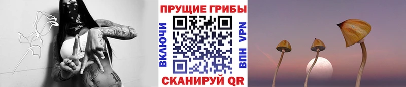 Галлюциногенные грибы мухоморы Сергач
